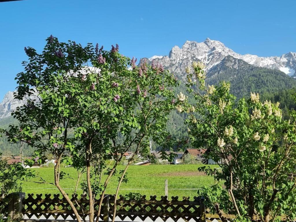 80 M2, Fuer Bis 6 Personen Mit Tollem Skigebiet, Zentral Und Doch Ruhig Вайдринг Экстерьер фото
